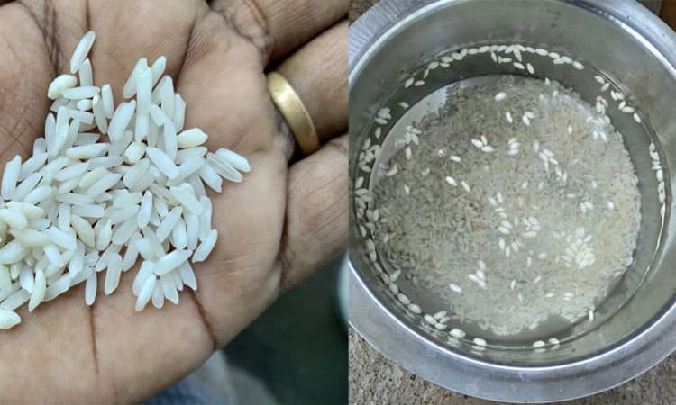 ಪಡಿತರದಲ್ಲಿ ಪ್ಲಾಸ್ಟಿಕ್ ಅಕ್ಕಿ ವಿತರಣೆ;ಪೌಷ್ಠಿಕ ಅಕ್ಕಿ ಎಂದು ಸ್ಪಷ್ಟನೆ ನೀಡಿದ ಆಹಾರ ಇಲಾಖೆ