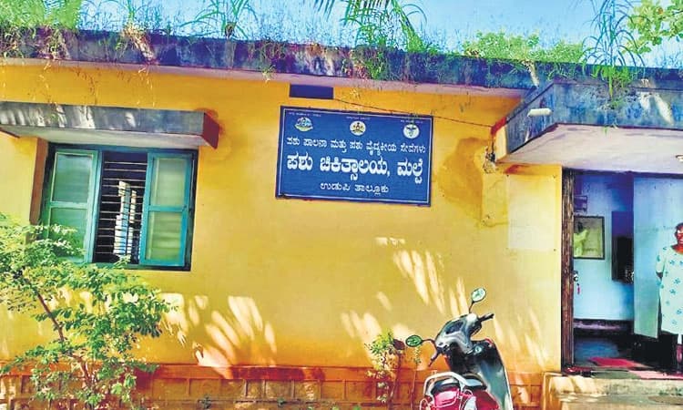 ಮಲ್ಪೆ ಪಶು ಚಿಕಿತ್ಸಾಲಯ; 7 ವರ್ಷದಿಂದ ಪೂರ್ಣಕಾಲಿಕ ವೈದ್ಯರು, ಸಿಬಂದಿಯಿಲ್ಲ