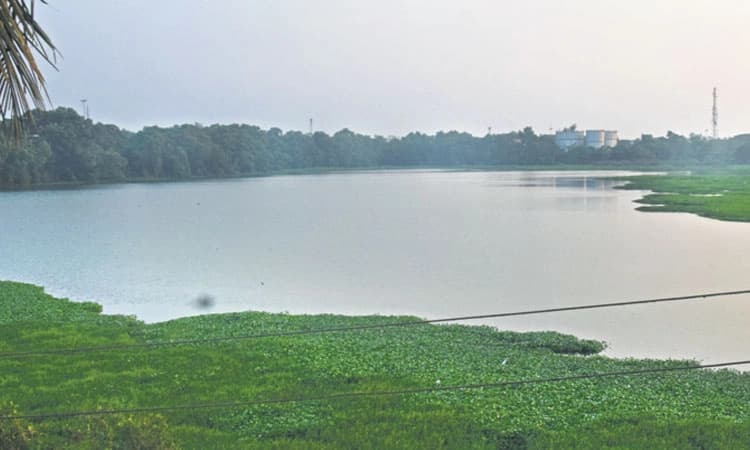 ಡ್ರೋನ್‌ ಸರ್ವೇಗೆ ಪಾಲಿಕೆ ಟೆಂಡರ್‌, ಅಭಿವೃದ್ಧಿಗೆ ಆದ್ಯತೆ; ಕುಳಾಯಿ ಬಗ್ಗುಂಡಿ ಕೆರೆ