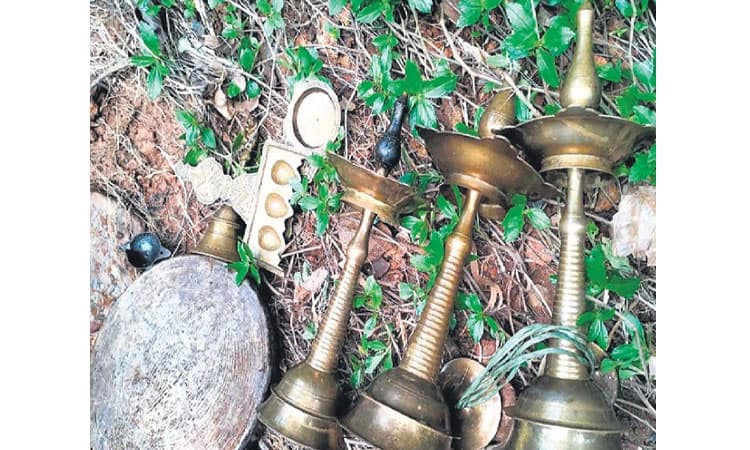 ನದಿಗೆಸೆದ ಪೂಜಾ ಸಾಮಗ್ರಿಯನ್ನು ಕಾದು ಕುಳಿತ ಸರ್ಪ!