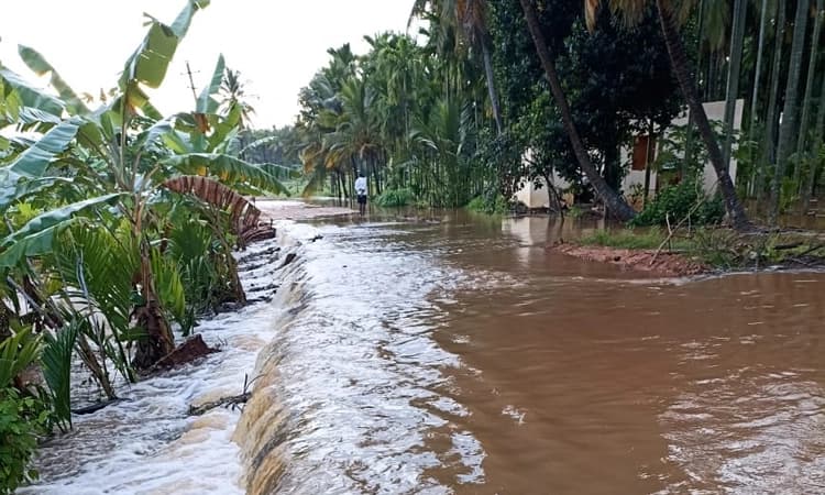 ಭಾರಿ ಮಳೆಯಿಂದ ನೂರಾರು ಎಕರೆ ಜಮೀನಿಗಳಿಗೆ ನುಗ್ಗಿದ ಕೆರೆ ನೀರು : ಕಂಗಾಲಾದ ರೈತರು