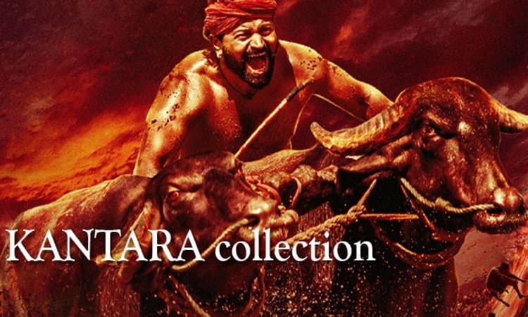 ಹಿಂದಿಗೆ ಡಬ್ ಆದ ‘ಕಾಂತಾರ’ ಮೊದಲ ದಿನ ಗಳಿಸಿದ್ದೆಷ್ಟು? ಗಾಡ್ ಫಾದರ್ ಮೀರಿಸಿದ ರಿಷಬ್ ಸಿನಿಮಾ