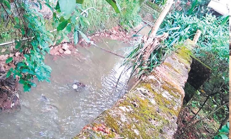 ಕದ್ರಿ: ಚರಂಡಿಯಲ್ಲಿ ಗಲೀಜು ನೀರು; ಸ್ಥಳೀಯರಿಗೆ ಸಮಸ್ಯೆ