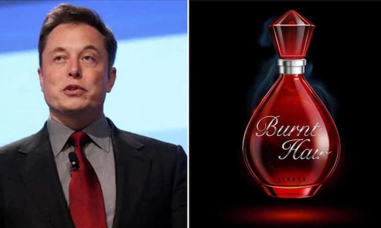 ಸುಗಂಧ ದ್ರವ್ಯ ಮಾರಾಟಕ್ಕಿಳಿದ ಶ್ರೀಮಂತ ಉದ್ಯಮಿ ಎಲಾನ್‌ ಮಸ್ಕ್: 1 ಬಾಟಲಿ ಬೆಲೆ…
