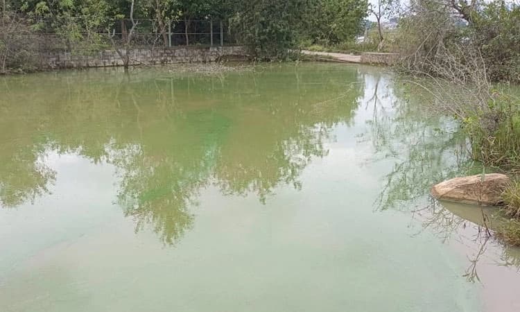 ಗುಡಿಬಂಡೆ: ಕೆಮಿಕಲ್ ಮಿಶ್ರಿತ ಬಣ್ಣವಾದ ಕೆರೆ ನೀರು