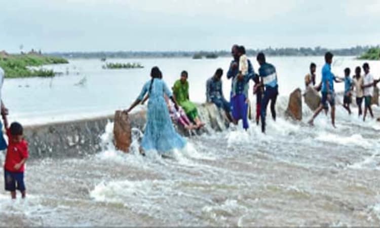 ಗಿಣಗೇರಿ ಕೆರೆಗೆ ಬಂತು ಜೀವ ಕಳೆ; ಗವಿಶ್ರೀ ಸಂಕಲ್ಪದಂತೆ ಹೂಳು ತೆರವು