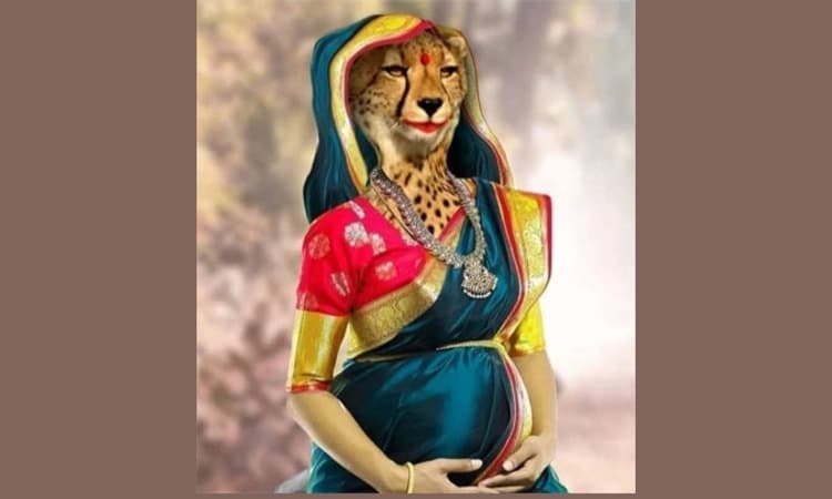 ‘ಚೀತಾಗೆ ಸೀಮಂತ ಯಾವಾಗ?’ ಪೋಸ್ಟ್: ಸಾಮಾಜಿಕ ಕಾರ್ಯಕರ್ತನ ಬಂಧನ; ಬಿಡುಗಡೆ