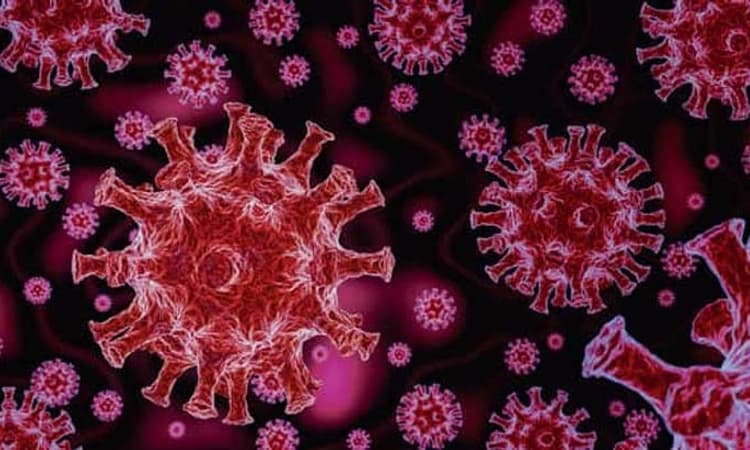 ಭಾರತದಲ್ಲಿ 24ಗಂಟೆಯಲ್ಲಿ 2,797 ಕೋವಿಡ್ ಪ್ರಕರಣ ಪತ್ತೆ, ಸಕ್ರಿಯ ಪ್ರಕರಣ ಭಾರೀ ಇಳಿಕೆ