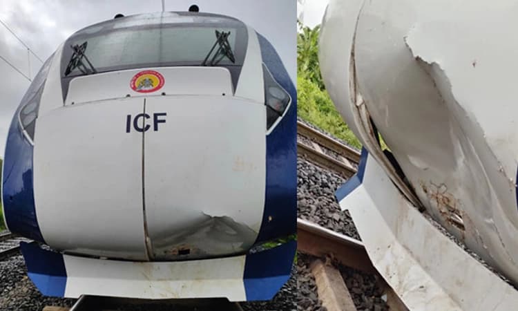 ವಂದೇ ಭಾರತ್ ಗೆ ಜಾನುವಾರು ಸಮಸ್ಯೆ: ಮತ್ತೆ ಢಿಕ್ಕಿ, ಡೆಂಟ್ !