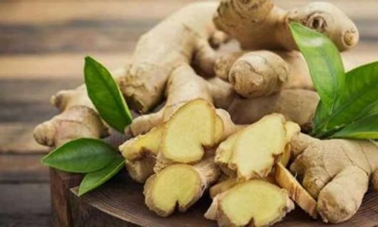 ಆ್ಯಂಟಿ ಬಯೋಟಿಕ್ : ಈ ಎಲ್ಲಾ ಆರೋಗ್ಯ ಸಮಸ್ಯೆಗಳಿಗೆ ಶುಂಠಿ ರಾಮಬಾಣ