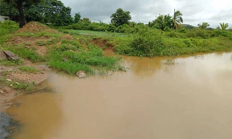 ಕೆರೆಯಂಗಳದಲ್ಲಿ ನುಂಗಣ್ಣರದೇ ದರ್ಬಾರ್‌; ರೆಸಾರ್ಟ್‌-ಹೋಟೆಲ್‌ ಉದ್ಯಮಕ್ಕೂ ಜಾಗ