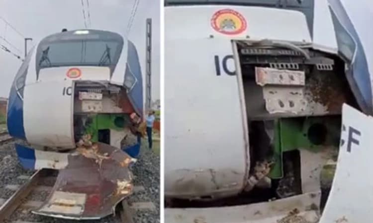 ವಂದೇ ಭಾರತ್ ರೈಲಿಗೆ ಢಿಕ್ಕಿಯಾದ ಎಮ್ಮೆಗಳ ಮಾಲೀಕರ ವಿರುದ್ಧ ಎಫ್ ಐಆರ್