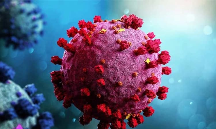 ಭಾರತದಲ್ಲಿ 24ಗಂಟೆಯಲ್ಲಿ 1,968 ಕೋವಿಡ್ ಸೋಂಕು ಪ್ರಕರಣ ಪತ್ತೆ, ಸಕ್ರಿಯ ಕೇಸ್ ಭಾರೀ ಇಳಿಕೆ