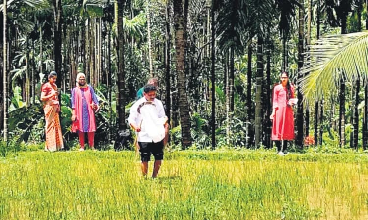ಬೆಳೆ ಪರಿಶೀಲನೆ ನಡೆಸಿದ ಕೃಷಿ ಅಧಿಕಾರಿಗಳ ತಂಡ