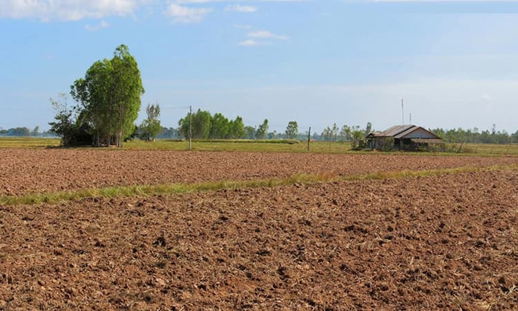 ಎಸ್‌ಸಿ-ಎಸ್‌ಟಿಗಳ ಭೂಮಿಗಿಲ್ಲ ಕನ್ವರ್ಷನ್‌; ಮನೆ ಕಟ್ಟಲು ಬ್ಯಾಂಕ್‌ ಲೋನ್‌ಗೆ ಪರದಾಟ!