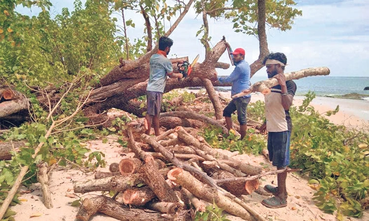 ಮತ್ತೆ ತೆರೆದುಕೊಳ್ಳಲಿದೆ ಸೈಂಟ್‌ ಮೇರಿಸ್‌; ಸೆ. 26ರಿಂದ ಪ್ರಾರಂಭ; ಸುರಕ್ಷೆಗೆ ಮಹತ್ವ
