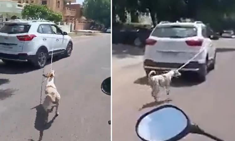 ಬೀದಿ ನಾಯಿಯನ್ನು ಕಾರಿಗೆ ಕಟ್ಟಿ ವಿಕೃತಿ : ಜೀವ ಉಳಿಸಬೇಕಾದ ವೈದ್ಯನಿಂದಲೇ ಹೇಯ ಕೃತ್ಯ