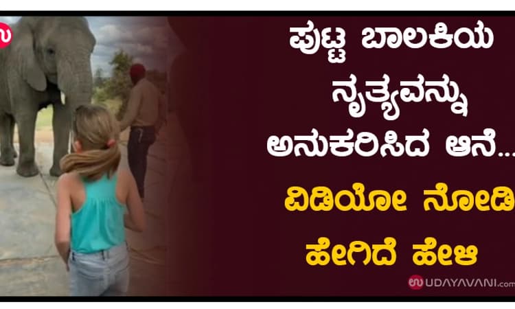 ಪುಟ್ಟ ಬಾಲಕಿಯ ನೃತ್ಯವನ್ನು ಅನುಕರಿಸಿದ ಆನೆ… ವಿಡಿಯೋ ನೋಡಿ ಹೇಗಿದೆ ಹೇಳಿ