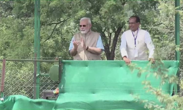 ಮೋದಿ@72:8 ಚೀತಾಗಳನ್ನು ಕುನೋ ನ್ಯಾಷನಲ್ ಅರಣ್ಯಕ್ಕೆ ಬಿಡುಗಡೆ ಮಾಡಿದ ಪ್ರಧಾನಿ ಮೋದಿ