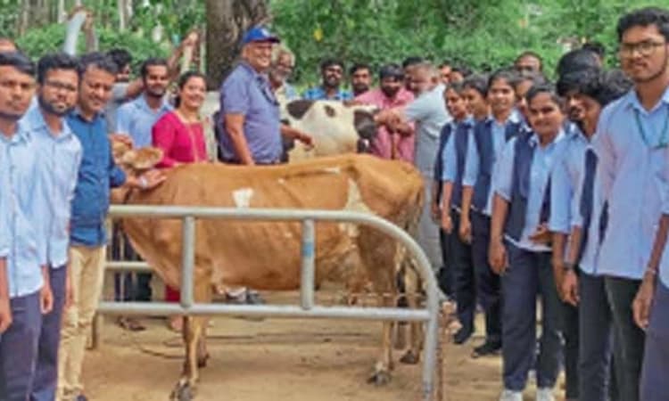 ಹಸುಗಳಿಗೆ ಪೌಷ್ಟಿಕ ಆಹಾರ ನೀಡುವುದು ಮುಖ್ಯ; ಡಾ.ಆನಂದ