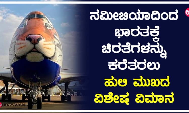 ನಮೀಬಿಯಾದಿಂದ ಭಾರತಕ್ಕೆ ಚೀತಾಗಳನ್ನು ಕರೆತರಲು ಹುಲಿ ಮುಖದ ವಿಶೇಷ ವಿಮಾನ