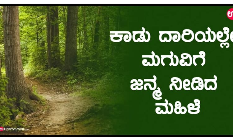 ಕಾಡು ದಾರಿಯಲ್ಲೇ ಮಗುವಿಗೆ ಜನ್ಮ ನೀಡಿದ ಮಹಿಳೆ