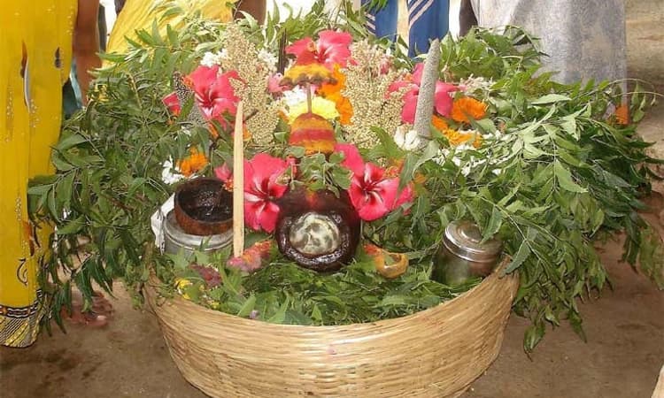 ಸಮೃದ್ಧ ಫಸಲಿನ ಸಂಕೇತ ಈ ಜೋಕುಮಾರ…