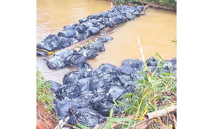 ತೇಲುತ್ತಾ ಬಂತು ತಾಜ್ಯಗಳ ಗಂಟು!