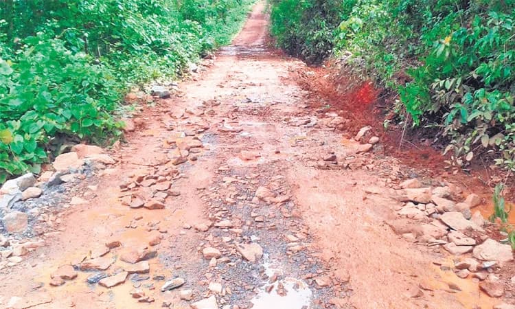 ಕೇಪುಪದವು-ಕೊಲ್ಲಪದವು ರಸ್ತೆ ಸ್ಥಿತಿ ಶೋಚನೀಯ