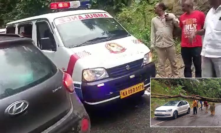 ಚಾರ್ಮಾಡಿ ಘಾಟಿಯಲ್ಲಿ ಮರ ಬಿದ್ದು ಕೆಲ ಕಾಲ ಸಂಚಾರ ಸ್ಥಗಿತ : ಆಂಬುಲೆನ್ಸ್ ಚಾಲಕನ ಪರದಾಟ