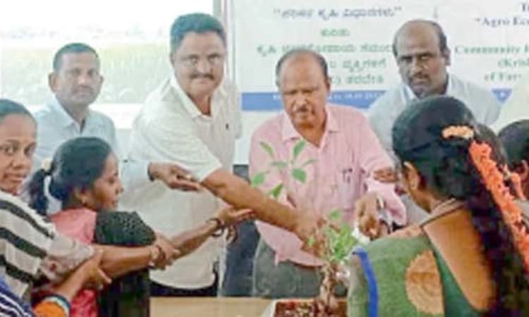 ಕೃಷಿ ಸಖಿಯರಿಂದ ರೈತರಿಗೆ ಮಾಹಿತಿ; ಯೋಜನೆ ಕುರಿತು ಅರಿವು