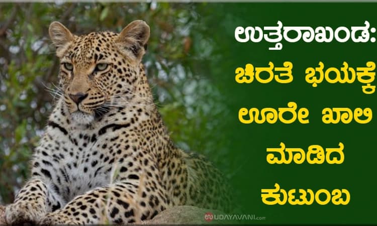 ಉತ್ತರಾಖಂಡ; ಚಿರತೆ ಭಯಕ್ಕೆ ಊರೇ ಖಾಲಿ ಮಾಡಿದ ಕುಟುಂಬ