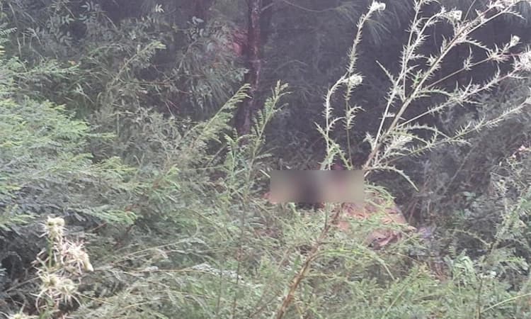 ಗಡಿ ನುಸುಳುತ್ತಿದ್ದ ಮೂವರು ಪಾಕ್ ಉಗ್ರರನ್ನು ಹೊಡೆದುರುಳಿಸಿದ ಭಾರತೀಯ ಸೇನೆ