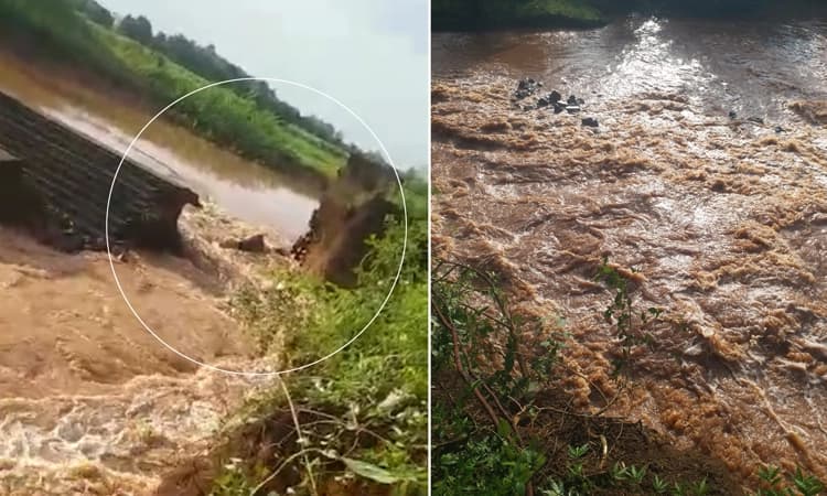 ಕಲಬುರಗಿ : ಶಾದಿಪುರ ಕೆರೆಯ ಕೋಡಿ ಒಡೆದು ಅಪಾರ ಪ್ರಮಾಣದ ಬೆಳೆ ನಾಶ