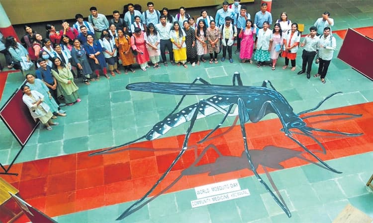 ಮಣಿಪಾಲದಲ್ಲೊಂದು ಬೃಹತ್‌ ಗಾತ್ರದ ಸೊಳ್ಳೆ