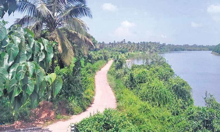 ಉಪ್ಪು ನೀರಿಗೆ ಪರಿಹಾರ ಕಲ್ಪಿಸಿದರೆ ಬಾಳು ಸಿಹಿ