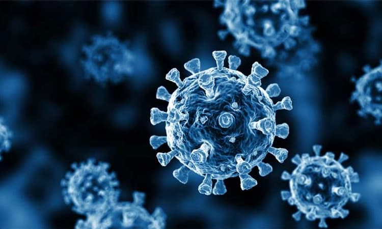 ಭಾರತದಲ್ಲಿ 24ಗಂಟೆಯಲ್ಲಿ 9,531 ಕೋವಿಡ್ 19 ಪ್ರಕರಣ ಪತ್ತೆ, 26 ಮಂದಿ ಸಾವು