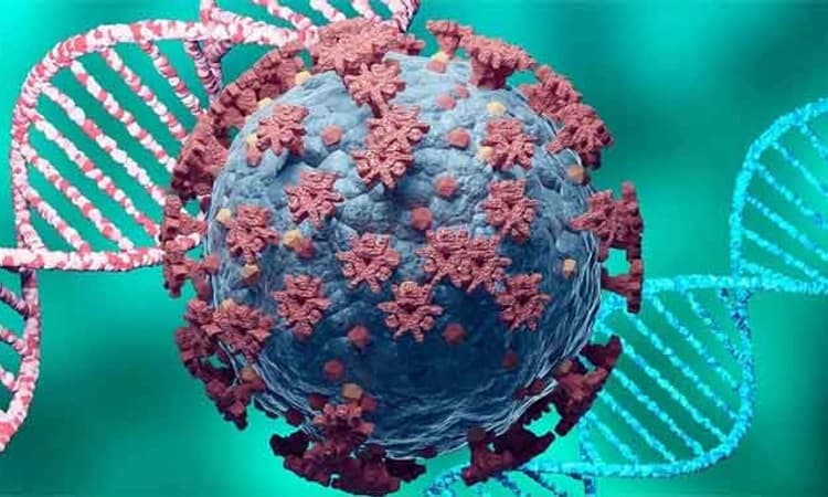 ಭಾರತದಲ್ಲಿ 24 ಗಂಟೆಯಲ್ಲಿ 8,813 ಕೋವಿಡ್ ಸೋಂಕು ಪ್ರಕರಣ ಪತ್ತೆ, 29 ಮಂದಿ ಸಾವು