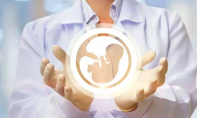 ಬಂಜೆತನಕ್ಕೆ ಕಾರಣಗಳನ್ನು ತಿಳಿಯುವುದು ಮತ್ತು ಯಶಸ್ಸಿನ ಸಾಧ್ಯತೆಗಳು