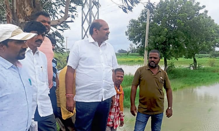 ಬೆಳೆ ಹಾನಿ: ಸರ್ಕಾರ ನೆರವಿಗೆ ಧಾವಿಸಲಿ