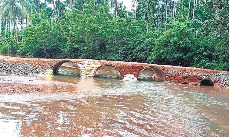 ಕಿನ್ಯ ಗ್ರಾಮದಲ್ಲಿ ಸಮಸ್ಯೆಗಳೇ ಬಹುದೊಡ್ಡದು