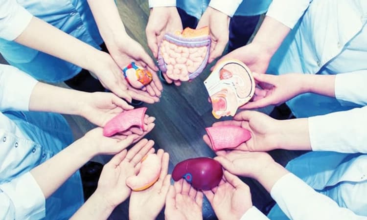 ಮರುಜೀವ ನೀಡುವ ಅಮೃತ: ಅಂಗಾಂಗ ದಾನ