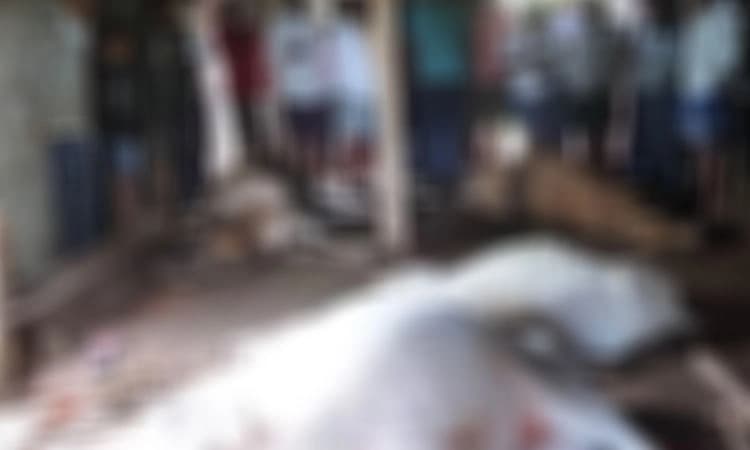 ಪಿರಿಯಾಪಟ್ಟಣ: ಬೆಂಕಿ ಶಾಖ; ಉಸಿರುಗಟ್ಟಿ ರಾಸು,ಕೋಳಿಗಳು ಸಾವು