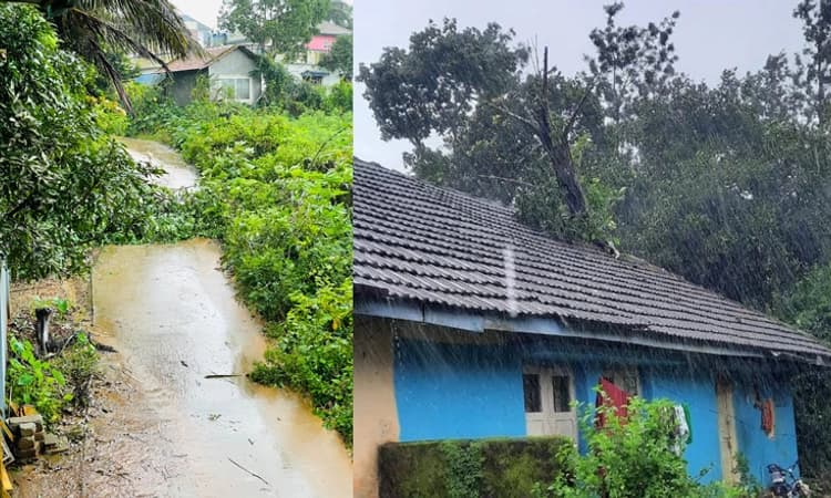 ಮಲೆನಾಡಿನಲ್ಲಿ ಮುಂದುವರೆದ ಮಳೆಯ ಅಬ್ಬರ : ಅಲ್ಲಲ್ಲಿ ಧರೆಗುರುಳಿದ ಮರ, ಜನಜೀವನ ಅಸ್ತವ್ಯಸ್ತ