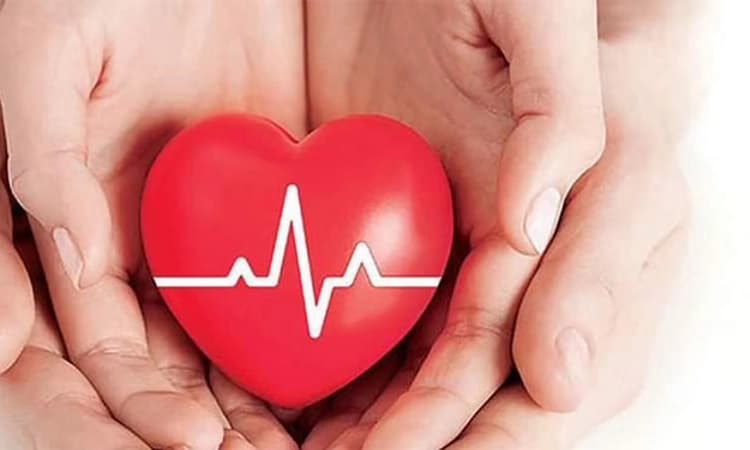 ಇರುವುದೊಂದೇ ಹೃದಯ; ಜತನದಿಂದ ರಕ್ಷಿಸುವುದು ನಮ್ಮ ಹೊಣೆ