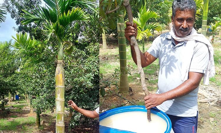 ಜವಳಿ ಮಳಿಗೆ ಮಾಲೀಕನೀಗ ಸಾವಯವ ಕೃಷಿಕ