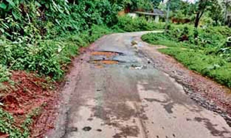 ಕಲ್ಲು ಗುಡ್ಡ ಪ್ರದೇಶ, ಪರಾವಲಂಬನೆ ಅನಿವಾರ್ಯ