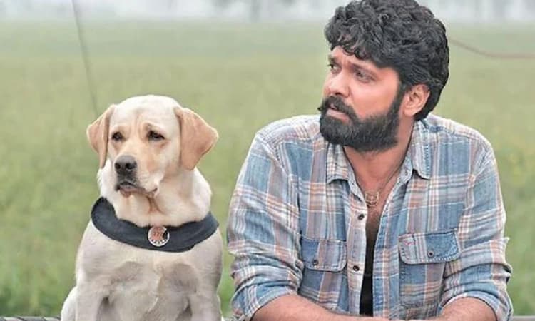 ರಕ್ಷಿತ್ ಶೆಟ್ಟಿ ಅಭಿನಯದ ‘777 ಚಾರ್ಲಿ’ ಚಿತ್ರದ ರಿಲೀಸ್ ಡೇಟ್ ಅನೌನ್ಸ್‌