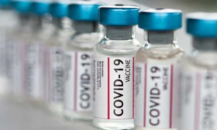 ಸಸ್ಯಗಳಿಂದ ಕೊರೊನಾ ಲಸಿಕೆ ಉತ್ಪಾದನೆ!