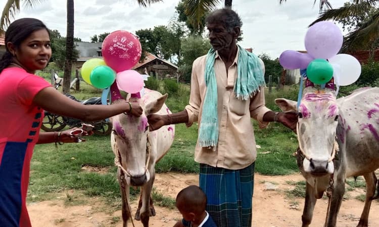 ಉಳ್ಳಾವಳ್ಳಿಯಲ್ಲಿ ವೈಭವದ ಕಾರಹಬ್ಬ